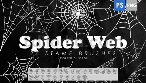 25 Spider Web Photoshop Stamp Brushes