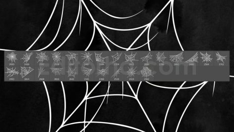25 Spider Web Photoshop Stamp Brushes
