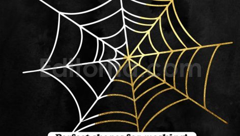 25 Spider Web Photoshop Stamp Brushes