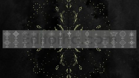 30 Tattoo Ornament Photoshop Stamp Brushes