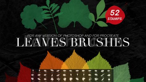52 Leaves Photoshop Stamp Brushes
