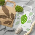 دانلود مجموعه ۵۲ براش برگ برای فتوشاپ – طرح سیلوئت و استمپ (فایل ABR)