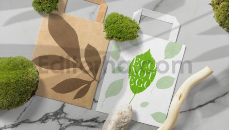دانلود مجموعه ۵۲ براش برگ برای فتوشاپ – طرح سیلوئت و استمپ (فایل ABR)