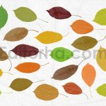 دانلود مجموعه ۵۲ براش برگ برای فتوشاپ – طرح سیلوئت و استمپ (فایل ABR)