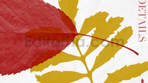 52 Leaves Photoshop Stamp Brushes