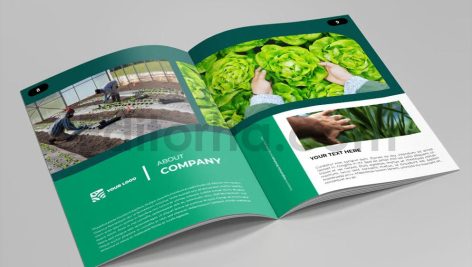 دانلود فایل لایه باز کاتالوگ محصولات کشاورزی Agriculture Brochure Vol.6