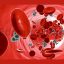 Glucose Molecules in a Bloodstream