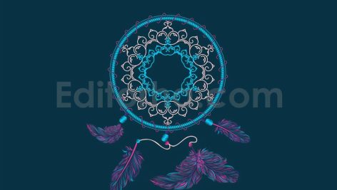 Boho Dream Catcher