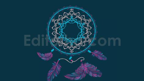 Boho Dream Catcher