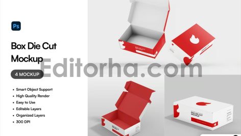 Box Die Cut Mockup1