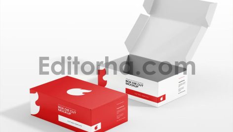 Box Die Cut Mockup2