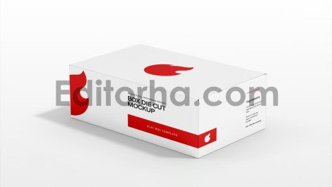 Box Die Cut Mockup5