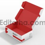 Box Die Cut Mockup6