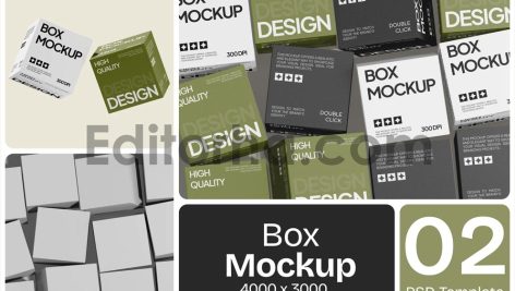 Box Mockup1