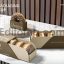 Box Packaging Mockup1