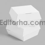 Burger Box Mockup2