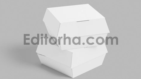 Burger Box Mockup2