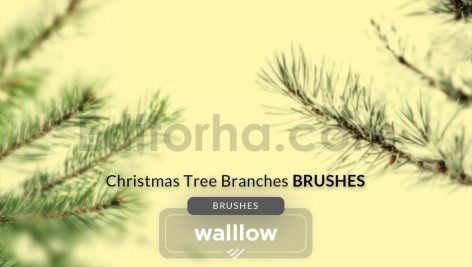 Christmas Tree Branches Photoshop Brushes