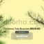 Christmas Tree Branches Photoshop Brushes