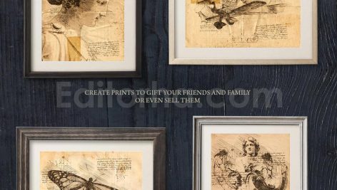 Da Vinci Sketch Photoshop Action