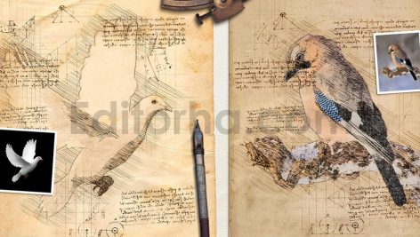 Da Vinci Sketch Photoshop Action