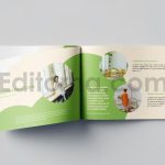 Day Care Brochure Vol.5