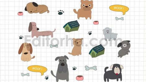 Dogs Doodle