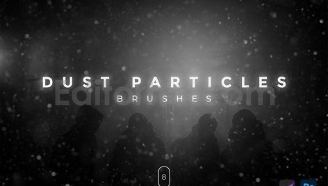 Dust Particles Brushes