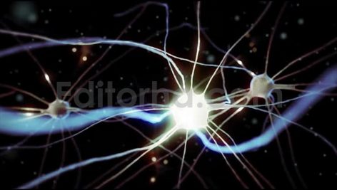 Nerve Cell in Human Brain That Pulsing and Transmitting the Electrical Signals