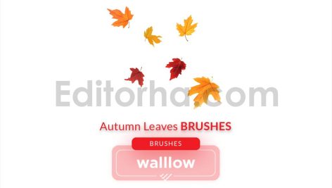 Falling Autumn Leaves Photoshop Digital Brushes
