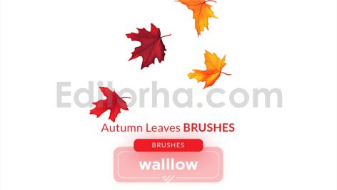 Falling Autumn Leaves Photoshop Digital Brushes