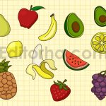 Fruit Doodle