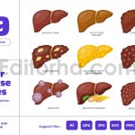 Liver Disease - Internal Human Body Organ Cancer