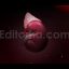 Kidney Animations