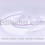Logo Reveal