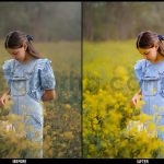 دانلود پریست پاستلی رویاگونه برای دسکتاپ و موبایل در فتوشاپ
