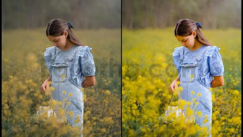 دانلود پریست پاستلی رویاگونه برای دسکتاپ و موبایل در فتوشاپ