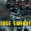 6 Bridge Sweave Lightroom and Photoshop Presets