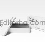 Tin Case Mockup2