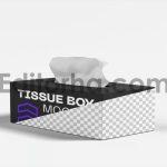 Tissue Box Mockup4