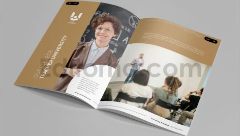 University Brochure Vol.13