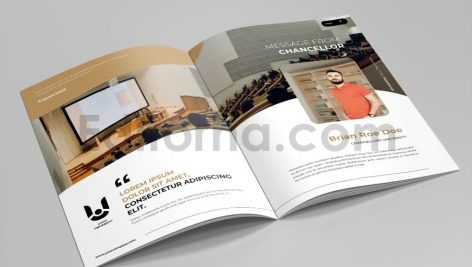 University Brochure Vol.13