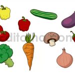 Vegetables Doodle