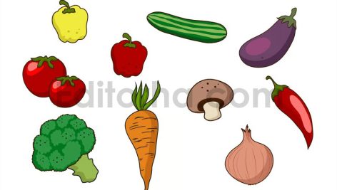 Vegetables Doodle