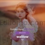 Soft Subtle Golden Hour Sunlight Photoshop brushes
