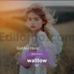 دانلود مجموعه ۱۵تایی براش نور طبیعی و گرم غروب برای فتوشاپ