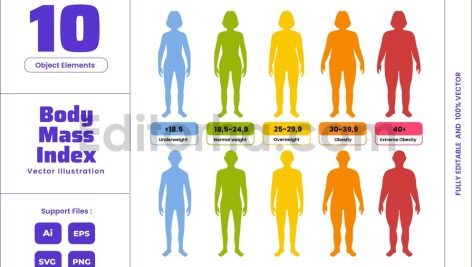 BMI Chart Body Mass Index Diagram Weight Loss Fat