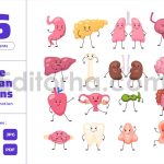Cute Human Body Organs - Funny Cartoon Character