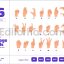 Fingerspellings - ASL Language Alphabet Hand Sign