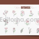 دانلود کالکشن لوگوی فلورال و بوتانیکال حرفه ای Floral Botanical Logo